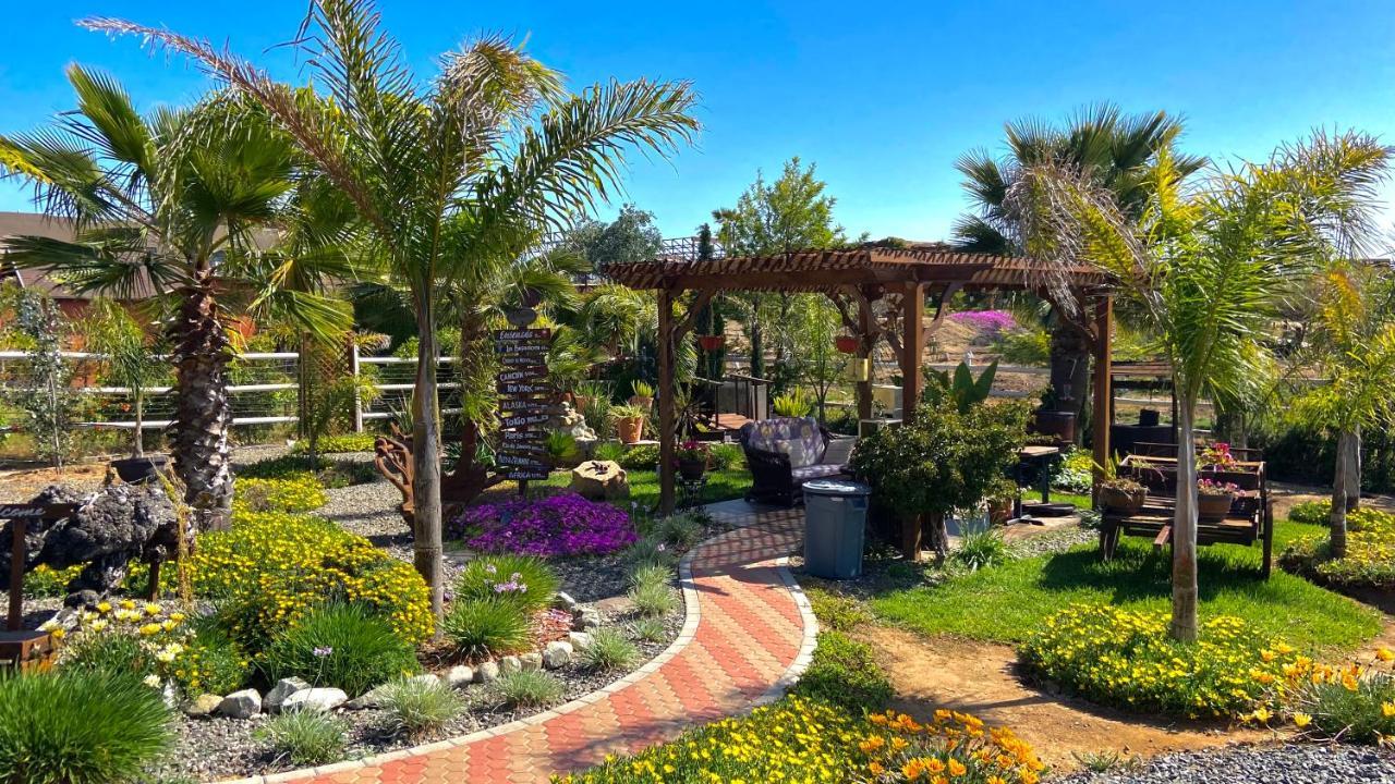 Paraiso Del Valle Ensenada Exterior photo